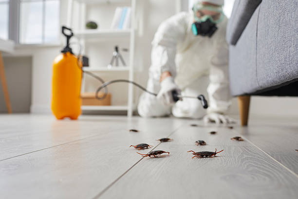 Post-Treatment Bed Bug Interceptor Monitoring in Seaside Park