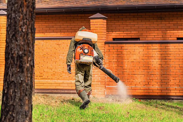 Bed Bug Clearance Verification and Documentation in Seaside Park